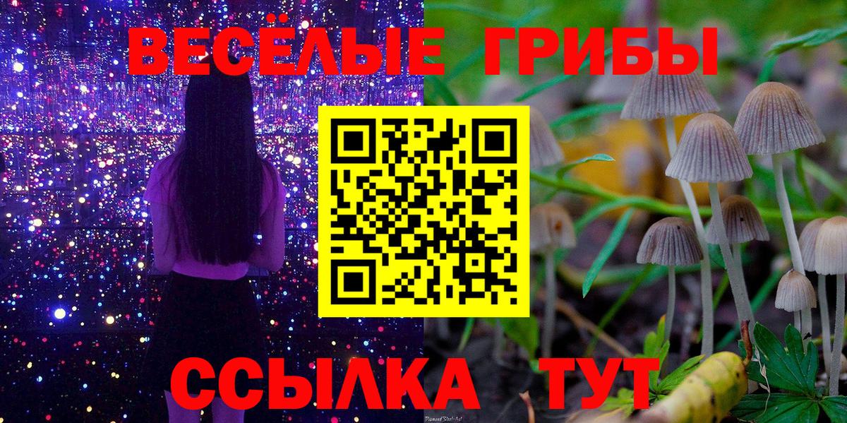 Белореченск  Псилоцибиновые грибы ЛСД  Вход с VPN  Галлюциногенные грибы Cubensis 